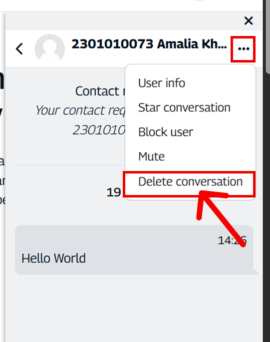 Klik Ikon Titik Tiga dan Pilih Delete Conversation
